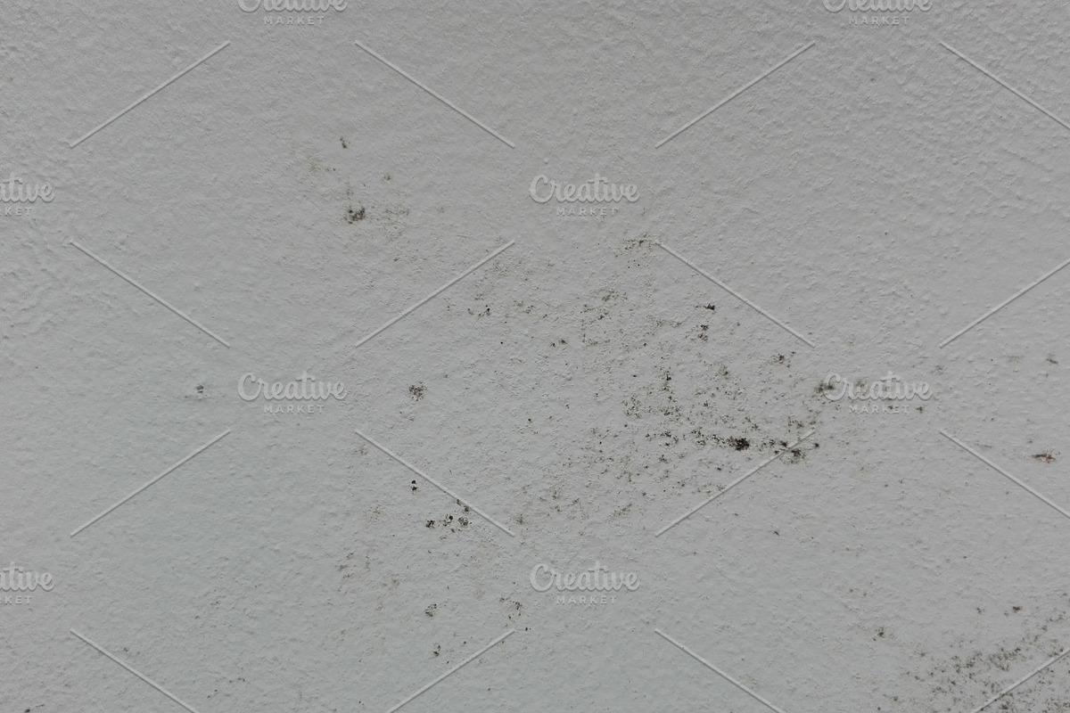 Mold Wall Texture Pack, a Texture Graphic by The_DrX (Photo 11 of 13)