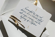 Pamric Mevira Handwritten Ink Font, a Script Font by Letterena Studios Script (Thumbnail 10 of 15)