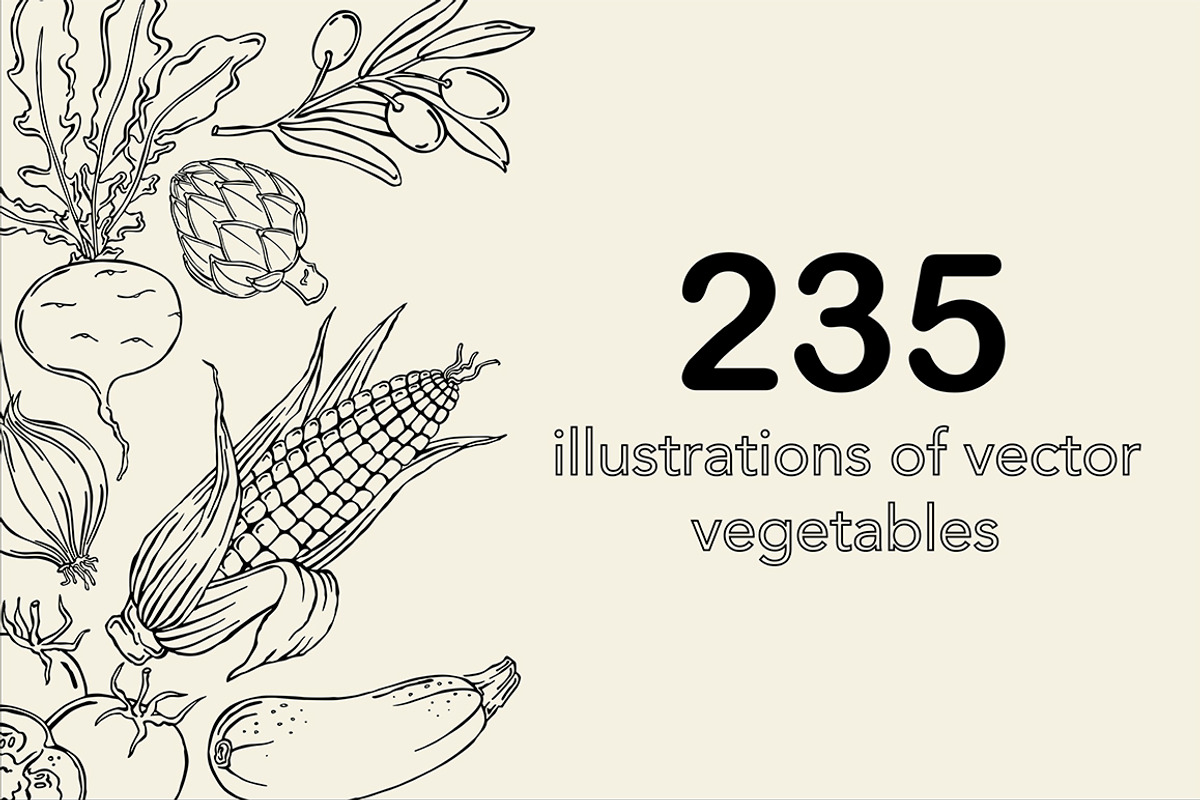 Vector vegetables, an Illustration by risovanya (Photo 1 of 9)