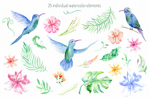 Tropical Set. Cute Hummingbird!