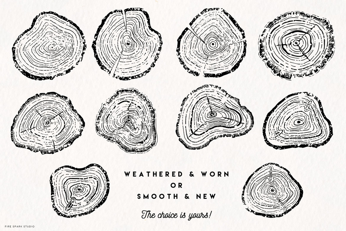 Timber Tree Vector Illustrations, an Object Illustration by Fire Spark Studio (Photo 3 of 7)
