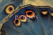 PAPILLON | Abstract Textures, a Texture Graphic by Ann Creative (Thumbnail 9 of 10)