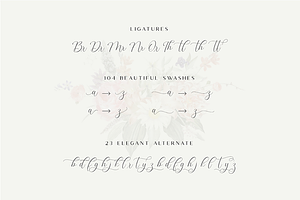 The Britney - Elegant Script Font