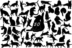 Hand drawn cats vector illustrations, an Animal Illustration by AnastasiyaOleynik