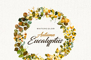 Watercolor Eucalyptus Branches, an Illustration by Mia Digital (Thumbnail 3 of 5)