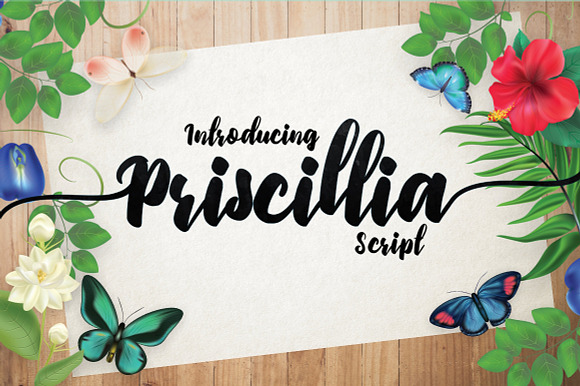 Priscillia Script preview 8