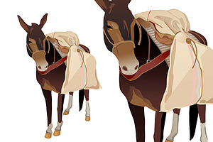 Donkey carrying coffee isolated