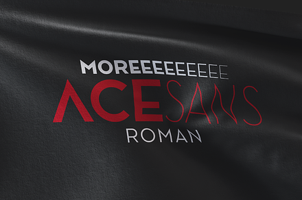 Ace Sans Roman, a Sans Serif Font by FactoryType