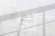 Branding Kit, a Branding & Logo Template by The Denizen Co. (Thumbnail 4 of 9)