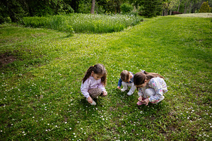 Three children exploring nature and picking flowers in a lush green meadow, a Person Photo by AS photostudio