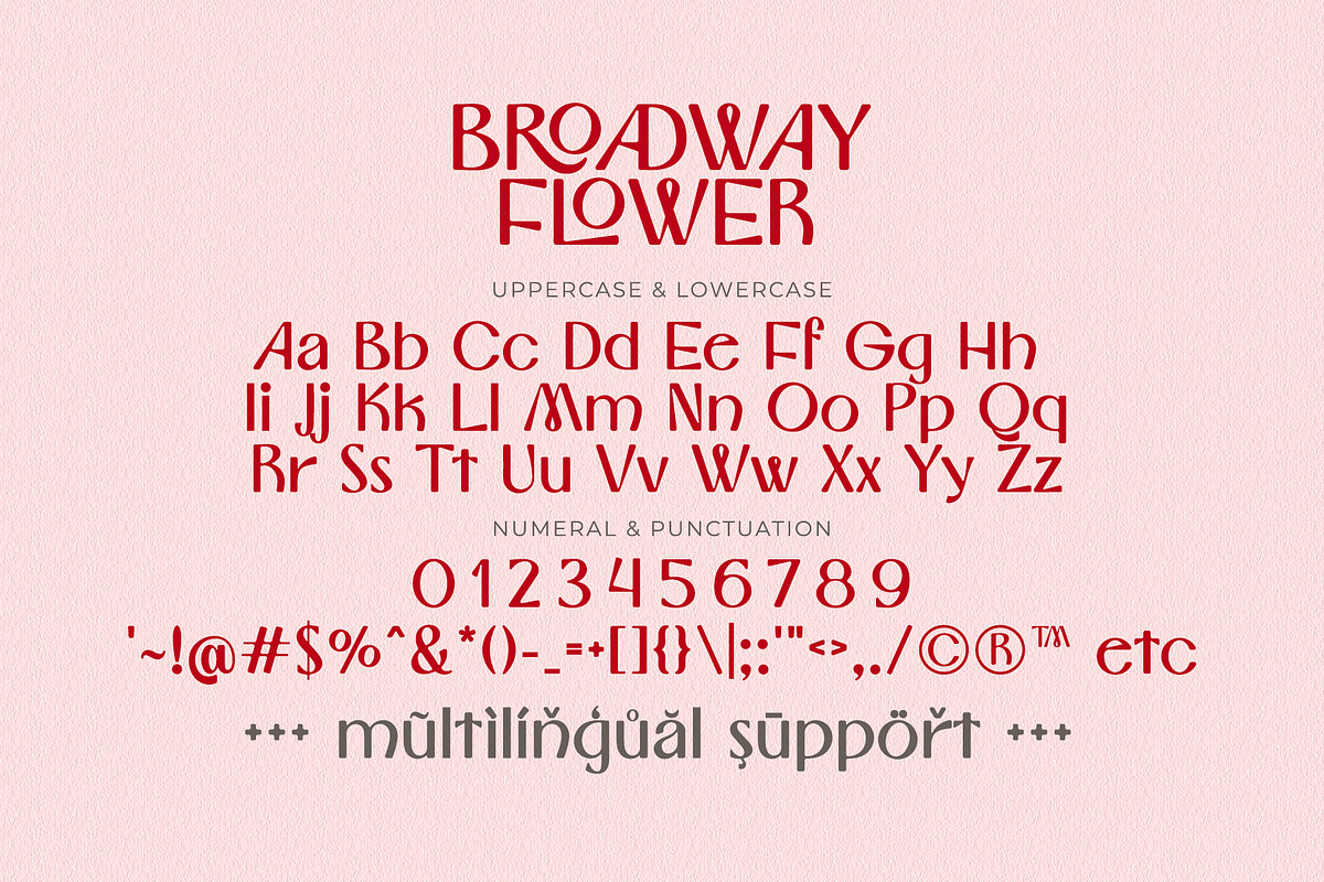 Broadway Flower Sans Serif Ligatures, a Sans Serif Font by Airotype (Photo 11 of 13)