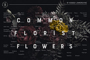 60% OFF Bourton Text Narrow Typeface, a Sans Serif Font by Kimmy Design (Thumbnail 9 of 18)