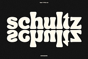 TAN - SONGBIRD, a Font by TanType (Thumbnail 8 of 16)