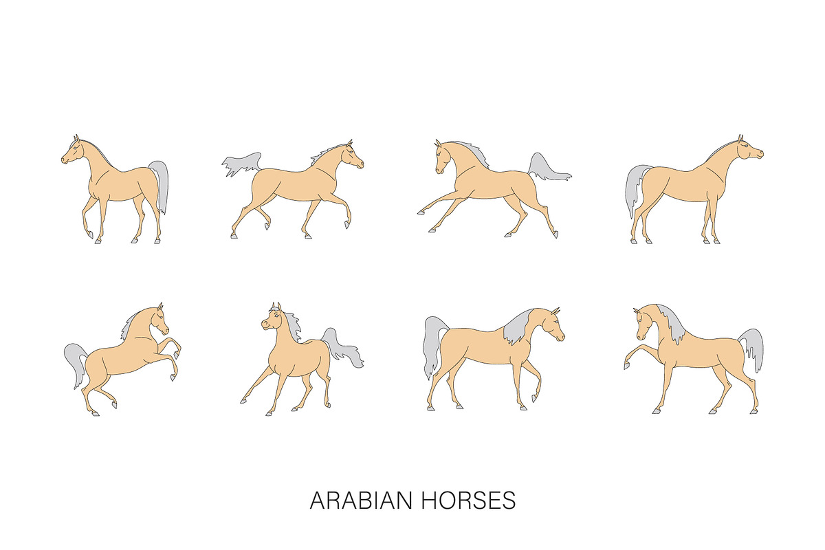 Arabian horses vector illustration, an Animal Illustration by Naurider (Photo 1 of 3)