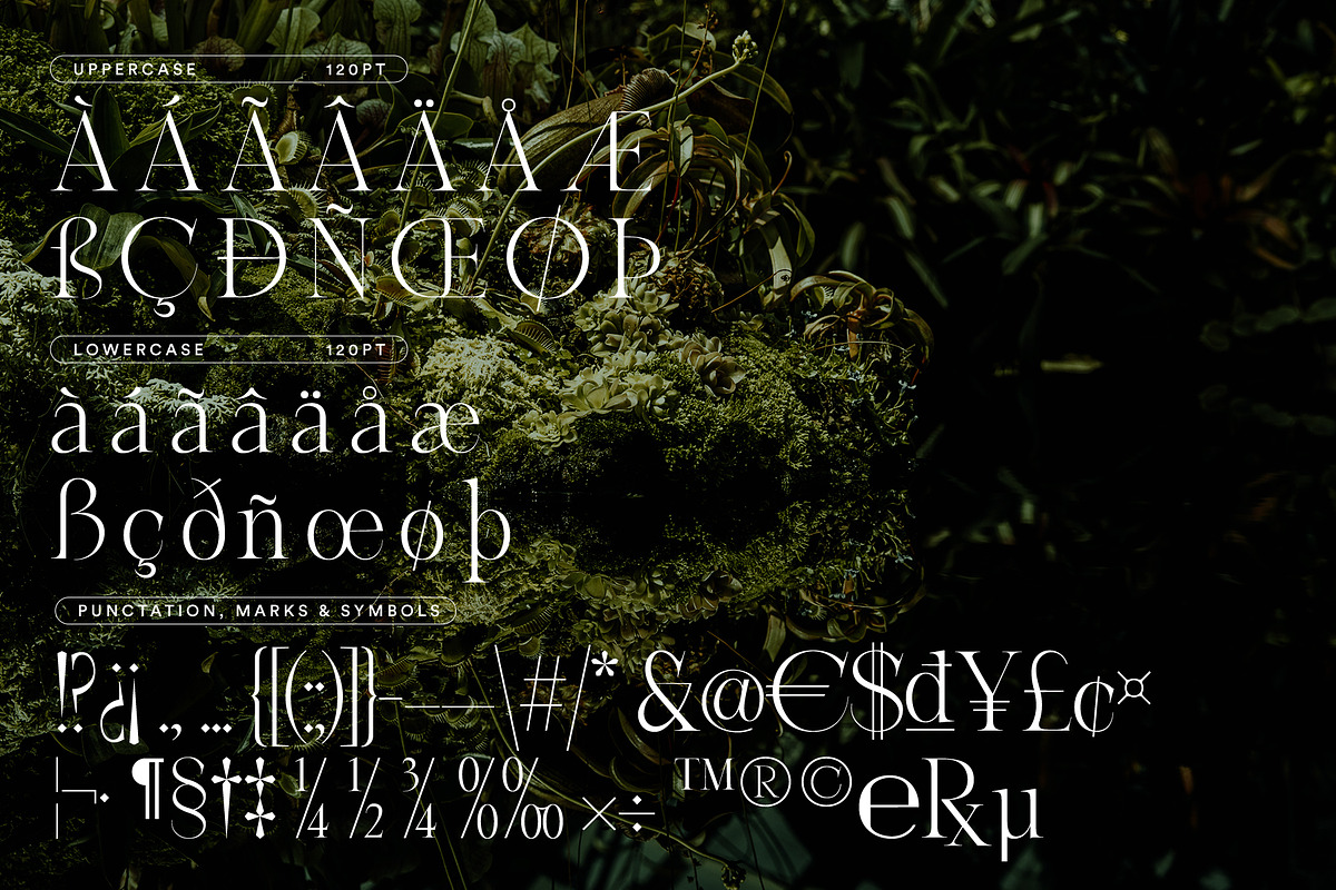 ABSINTIO - Stylish Classic Typeface, a Serif Font by One Pillar Studio (Photo 3 of 8)