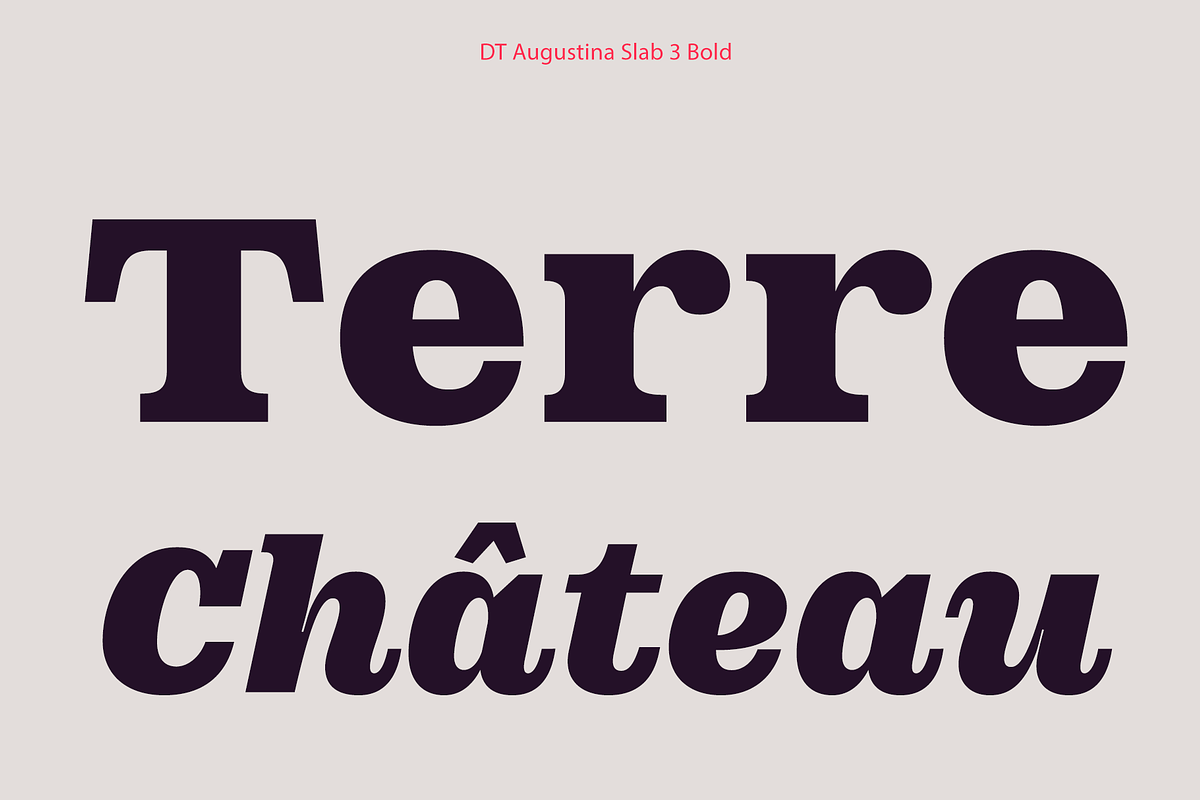 DT Augustina Slab 3 Subfamily, a Slab Serif Font by Deveze Type Foundry (Photo 13 of 31)
