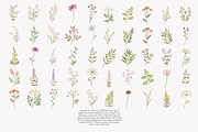 a wildflower meadow clipart set, a Decorative Illustration by Patishop Art (Thumbnail 11 of 12)