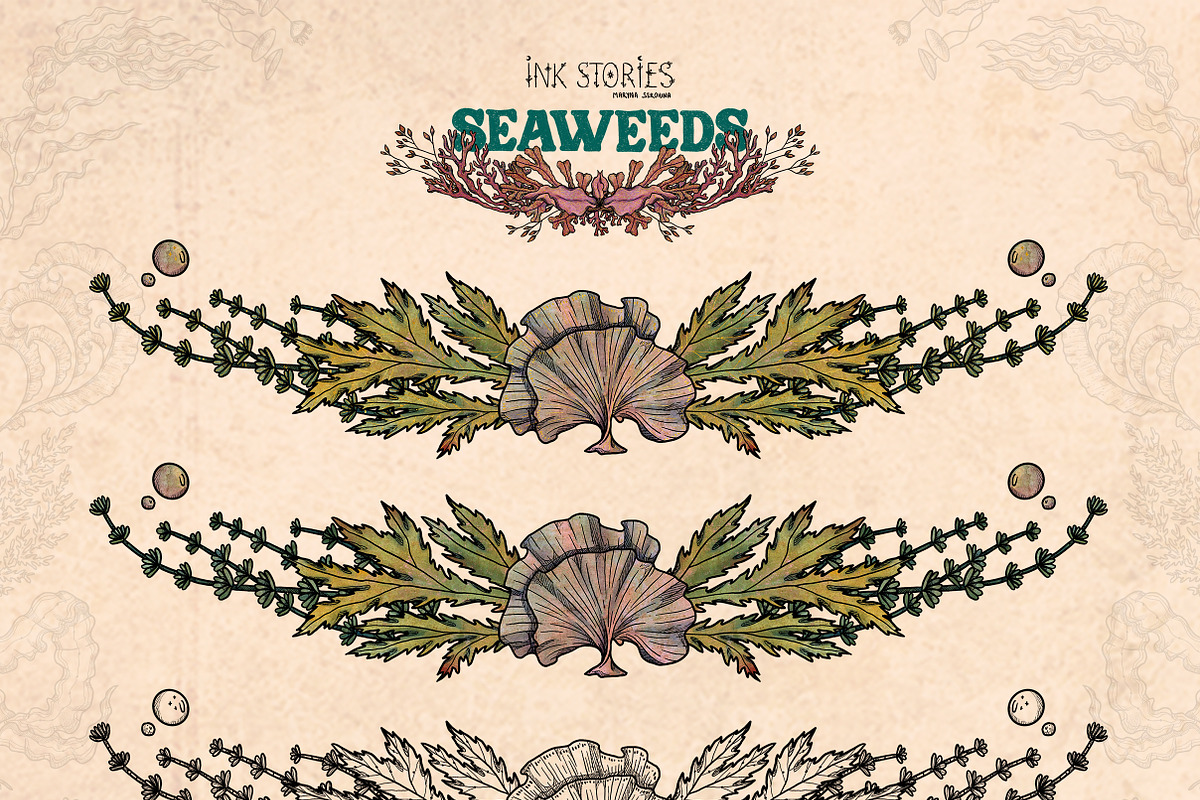 Seaweeds, an Object Illustration by Ink Stories (Photo 17 of 24)
