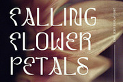Lynoile Sans Serif Display Font, a Font by Maulana Creative (Thumbnail 7 of 7)