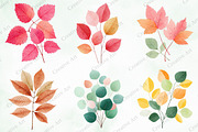 Watercolor Leaves Clipart Set, an Illustration by Creative Art (Thumbnail 4 of 10)