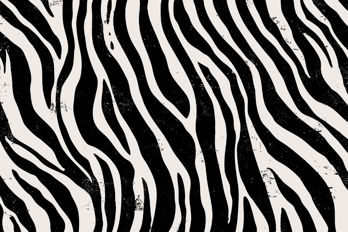 Vector Animal Textures, a Texture Graphic by Tugcu Design Co ...