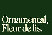 Gertrude - An Ornamental Serif, a Font by Press & Pen (Thumbnail 3 of 9)