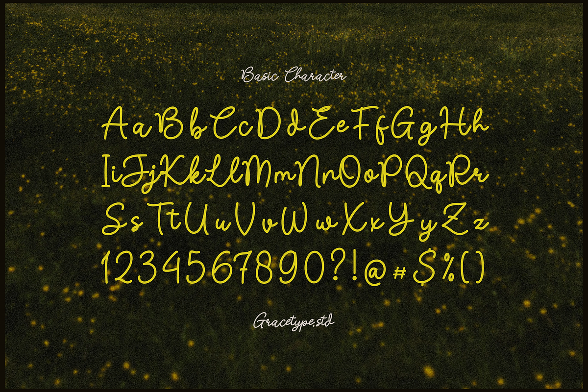 Nicolla Sunfield | Monoline Script, a Script Font by gracetype_studio (Photo 10 of 12)