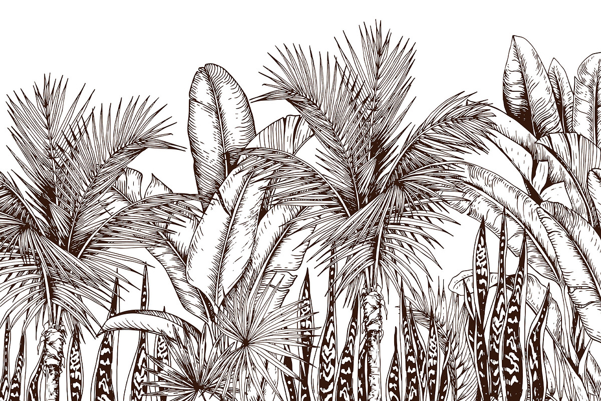 Tropical black& white plants, a Decorative Illustration by Jeanna Draw (Photo 1 of 17)
