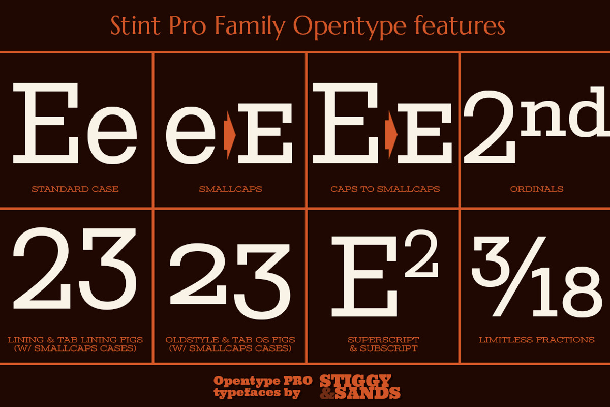Stint Pro Family preview 4