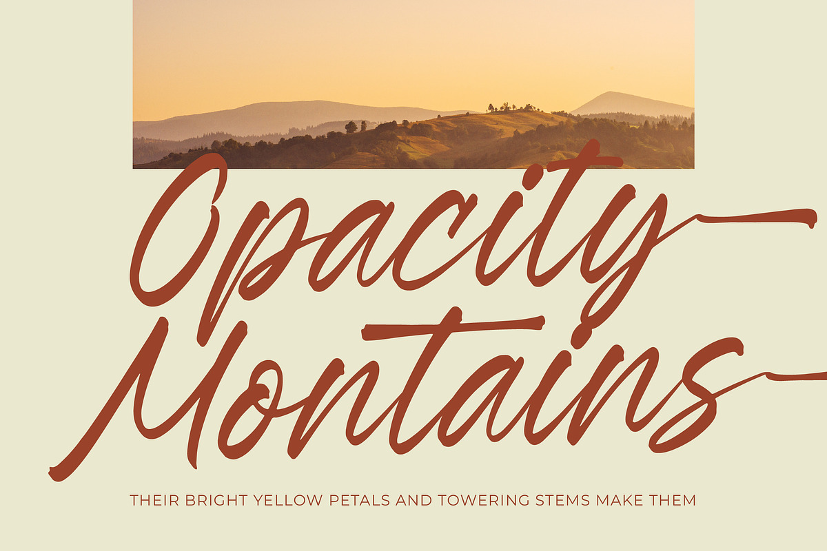 Esylon Sparted Bold Brush Type Font, a Script Font by Letterena Studios Script (Photo 14 of 20)
