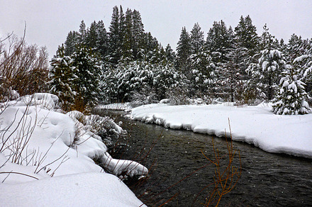 Snowy Riverbank & Forest