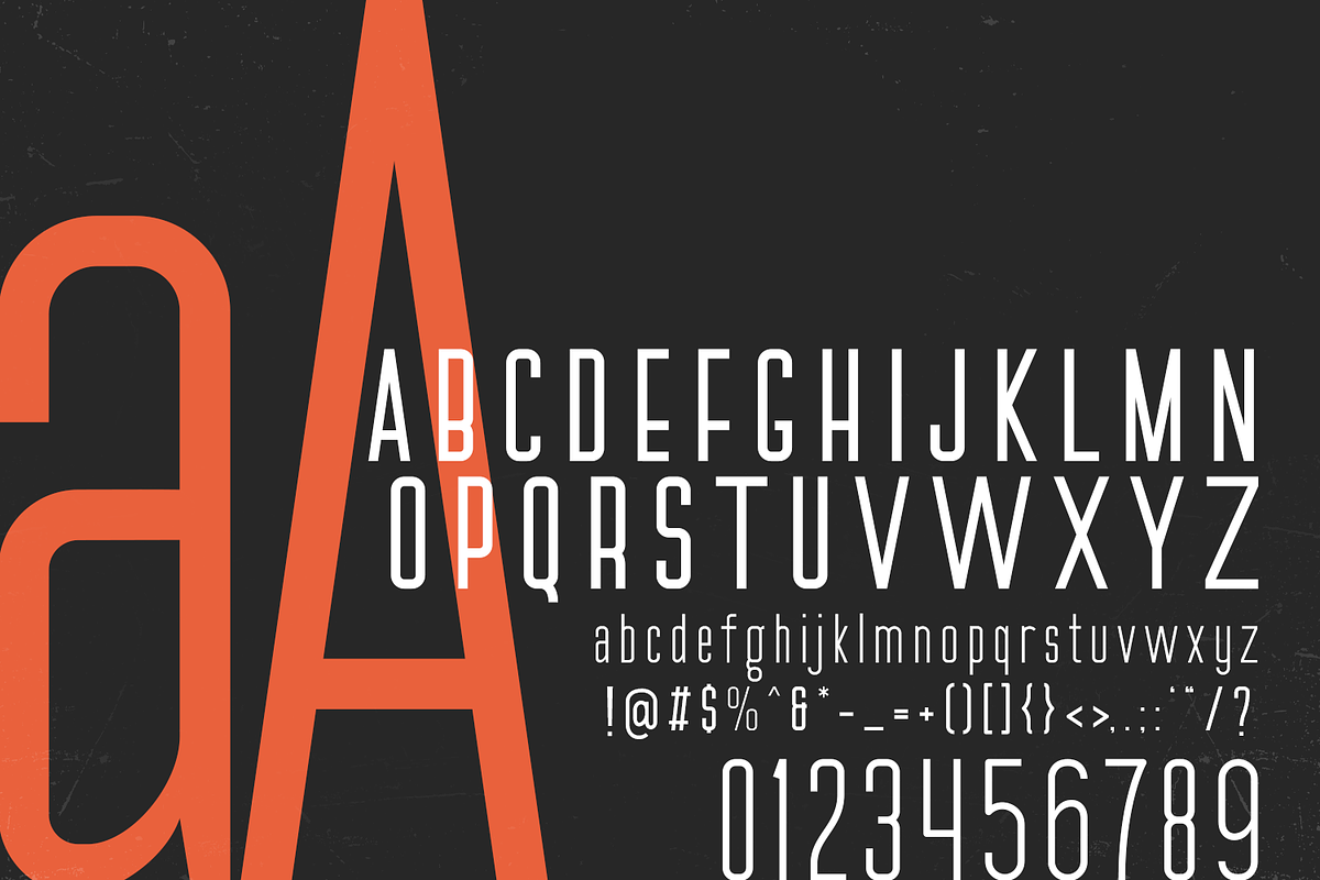 LeBlanc - Condensed Sans Serif, a Sans Serif Font by FactoryType Studio (Photo 4 of 10)