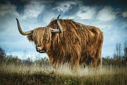 300 Professional Lightroom Presets, an Action Add-On by Madison Colt Studios (Thumbnail 19 of 29)