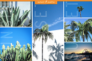 Sunset & Palm Trees Photo Bundle, a Nature Photo by Template Monkey @dscience (Thumbnail 12 of 12)
