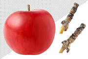 Red apples, an Object Graphic by Fruits+Veggies (Thumbnail 5 of 8)