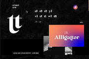 RF Lourney Serif Display + Extra, a Serif Font by Unfutur Labs (Thumbnail 7 of 10)