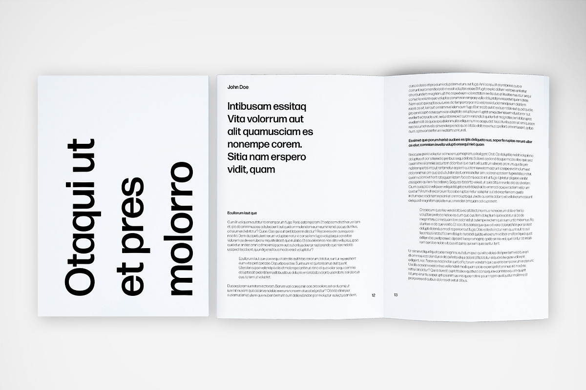 Professional Report Template preview 5