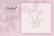 Orchid #24. Line Art Illustration, a Decorative Illustration by lapi-olesya (Thumbnail 1 of 3)