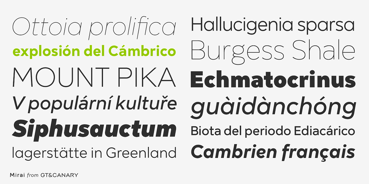 Mirai, a Sans Serif Font by GT&CANARY (Photo 2 of 7)