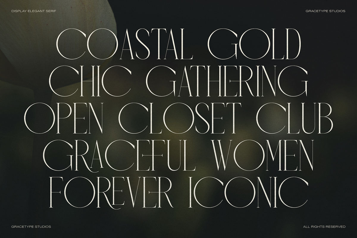 Anora Carmeo | Display Elegant Serif, a Font by gracetype_studio (Photo 5 of 12)
