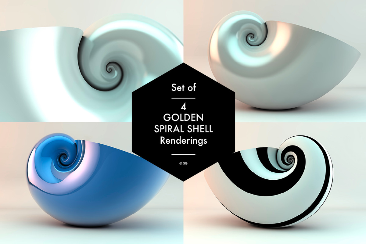 Golden Spiral Shell Set, a Graphic by helloSG (Photo 1 of 4)