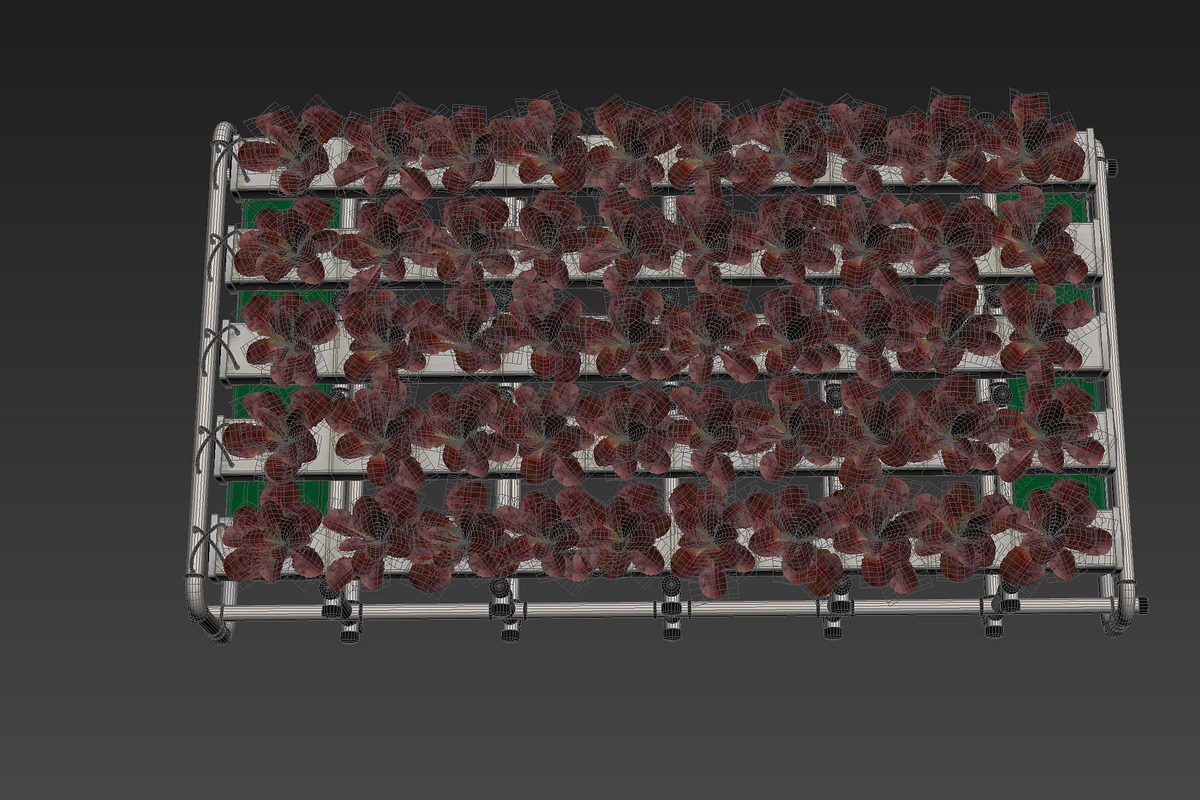 Hydroponics system LG, an Environmental 3D Model by AndrewWhite (Photo 6 of 17)