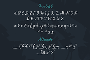 Steemsa | Funny Script Font, a Script Font by windestrian (Thumbnail 3 of 6)