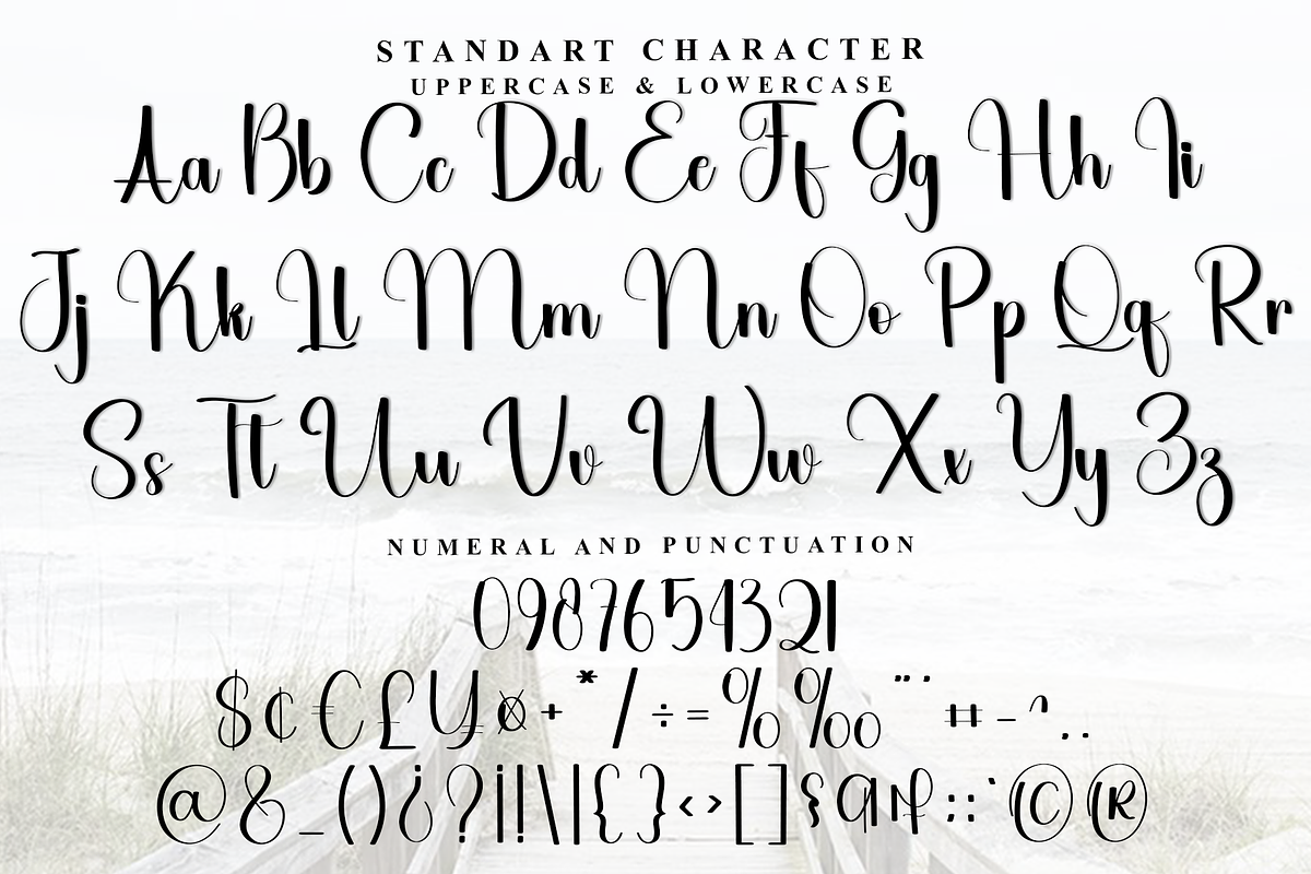 Rollercoaster, a Handwritten Font by FreshTypeINK (Photo 2 of 8)