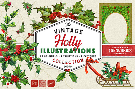 Vintage Holly Illustrations