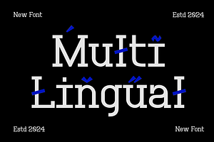 Mulfin - Modern Serif Font