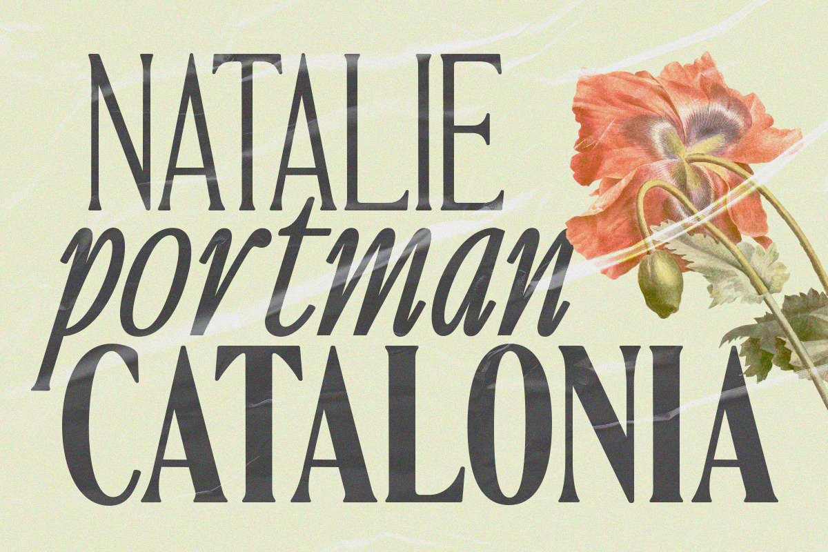 Ten Twenty Family (18 Fonts), a Serif Font by Positive TypeFoundry (Photo 3 of 15)