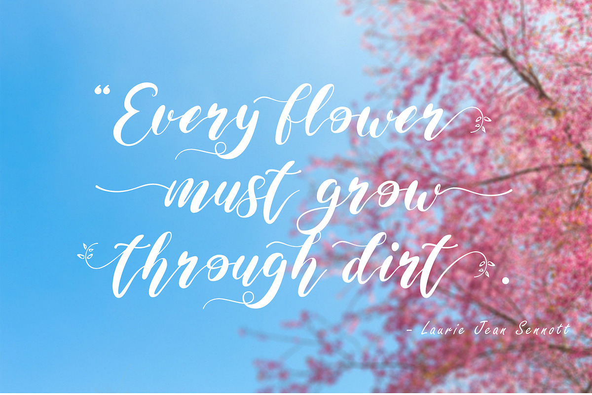 Maida Valley - Handwritten Font, a Script Font by erlosDESIGN (Photo 7 of 14)