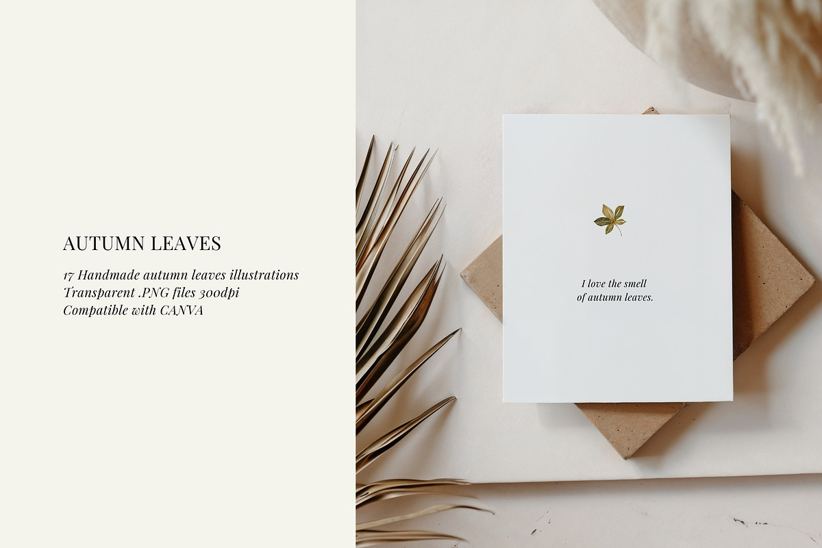 Fall watercolor illustrations, a Seasonal Illustration by AS Studio (Photo 3 of 5)