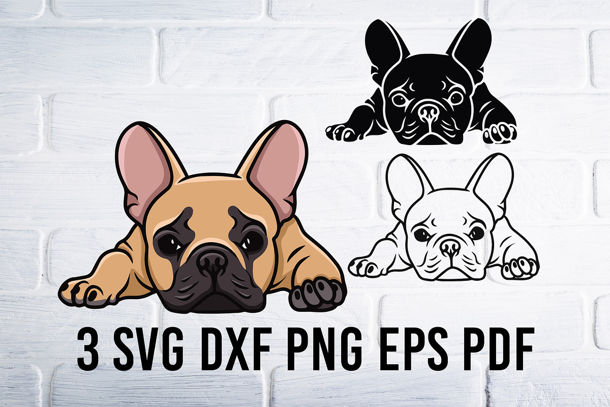 Bulldog Svg, French Bulldog svg, Dog, an Animal Illustration by Bila Vorona (Photo 1 of 3)
